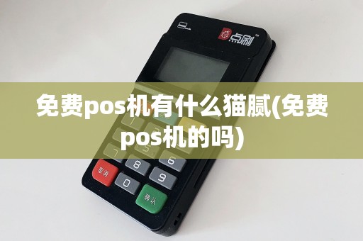 免费pos机有什么猫腻(免费pos机的吗)
