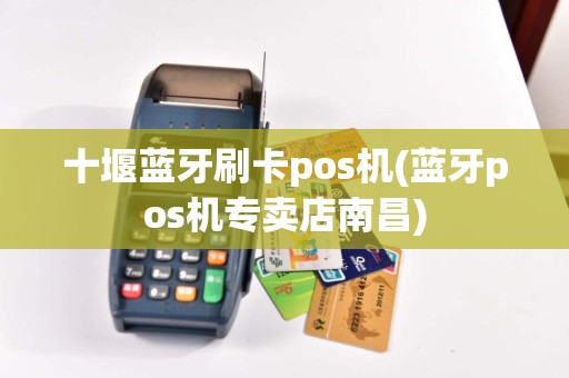 十堰蓝牙刷卡pos机(蓝牙pos机专卖店南昌)
