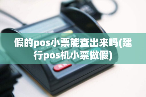 假的pos小票能查出来吗(建行pos机小票做假)