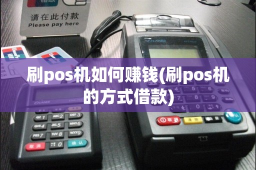 刷pos机如何赚钱(刷pos机的方式借款)