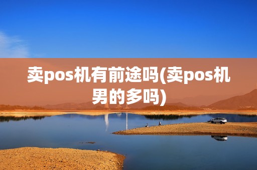 卖pos机有前途吗(卖pos机男的多吗)