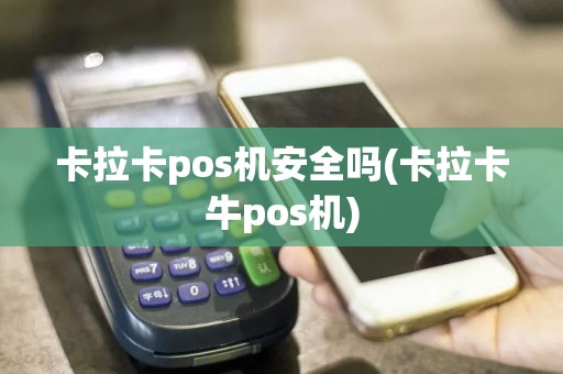 卡拉卡pos机安全吗(卡拉卡牛pos机)