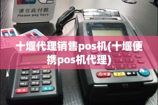 十堰代理销售pos机(十堰便携pos机代理)