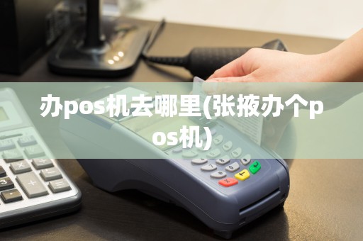 办pos机去哪里(张掖办个pos机)