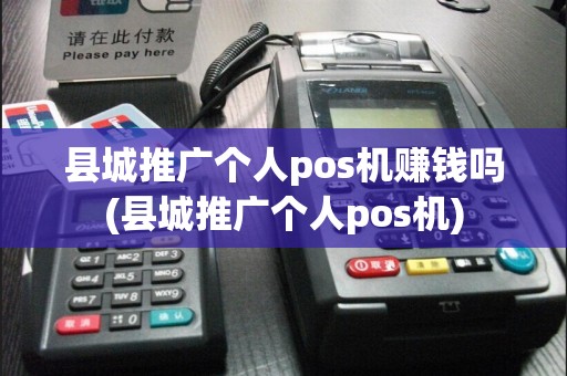 县城推广个人pos机赚钱吗(县城推广个人pos机)