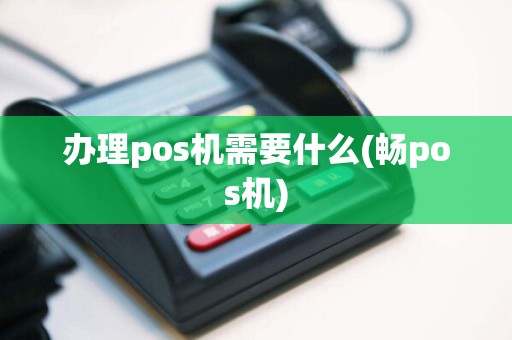 办理pos机需要什么(畅pos机)