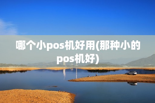 哪个小pos机好用(那种小的pos机好)
