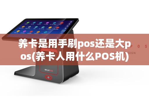养卡是用手刷pos还是大pos(养卡人用什么POS机)