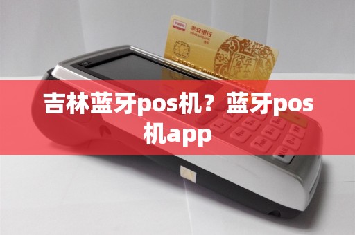 吉林蓝牙pos机？蓝牙pos机app