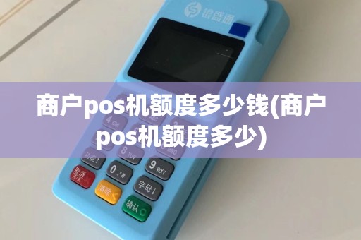 商户pos机额度多少钱(商户pos机额度多少)