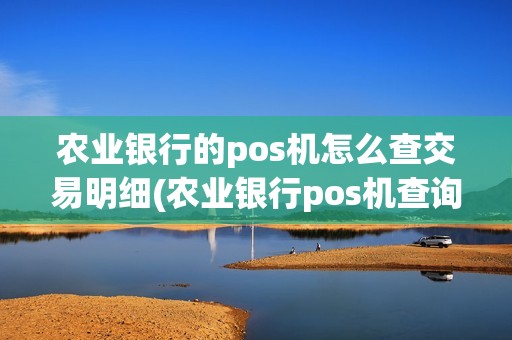 农业银行的pos机怎么查交易明细(农业银行pos机查询余额)