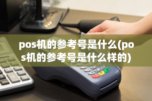 pos机的参考号是什么(pos机的参考号是什么样的)