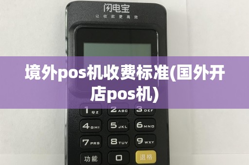 境外pos机收费标准(国外开店pos机)