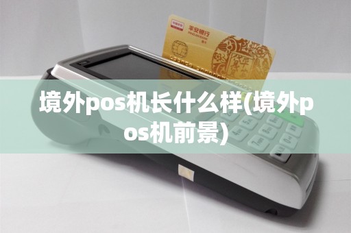 境外pos机长什么样(境外pos机前景)