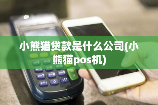 小熊猫贷款是什么公司(小熊猫pos机)