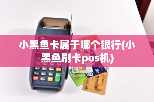 小黑鱼卡属于哪个银行(小黑鱼刷卡pos机)