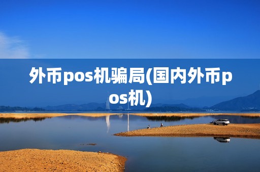 外币pos机骗局(国内外币pos机)