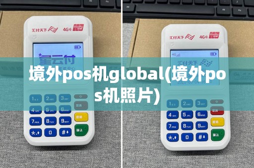 境外pos机global(境外pos机照片)