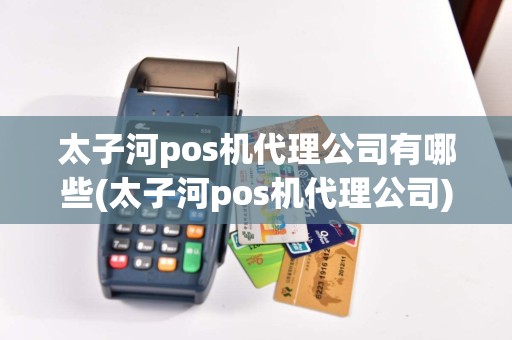 太子河pos机代理公司有哪些(太子河pos机代理公司)