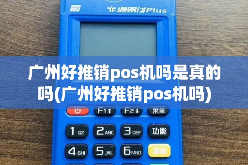 广州好推销pos机吗是真的吗(广州好推销pos机吗)