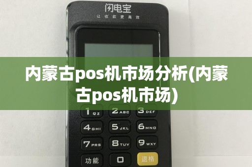 内蒙古pos机市场分析(内蒙古pos机市场)