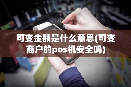 可变金额是什么意思(可变商户的pos机安全吗)