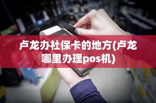 卢龙办社保卡的地方(卢龙哪里办理pos机)
