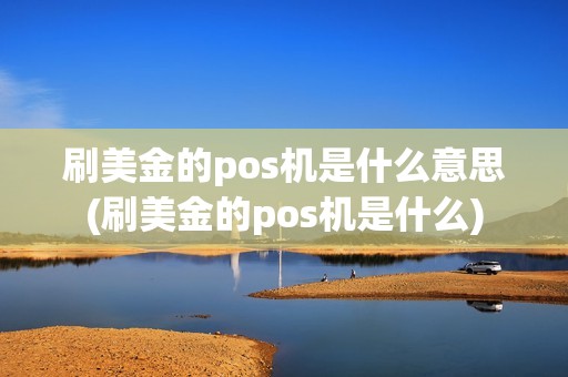 刷美金的pos机是什么意思(刷美金的pos机是什么)
