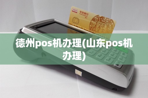 德州pos机办理(山东pos机办理)