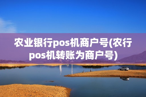 农业银行pos机商户号(农行pos机转账为商户号)