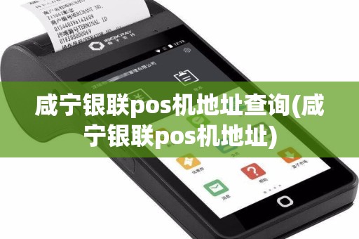 咸宁银联pos机地址查询(咸宁银联pos机地址)  第1张