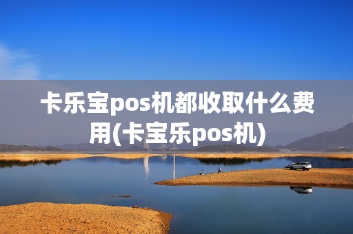 卡乐宝pos机都收取什么费用(卡宝乐pos机)