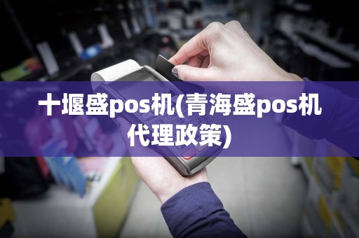 十堰盛pos机(青海盛pos机代理政策)