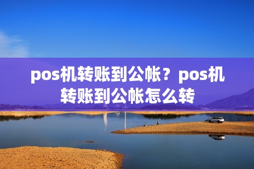 pos机转账到公帐？pos机转账到公帐怎么转  第1张