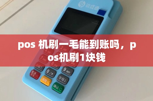 pos 机刷一毛能到账吗，pos机刷1块钱  第1张