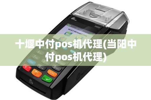 十堰中付pos机代理(当阳中付pos机代理)  第1张
