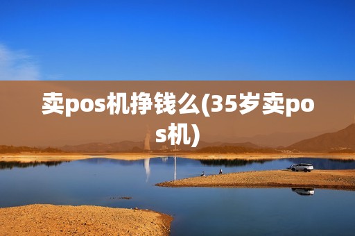 卖pos机挣钱么(35岁卖pos机)