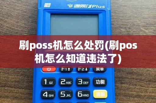 刷poss机怎么处罚(刷pos机怎么知道违法了)