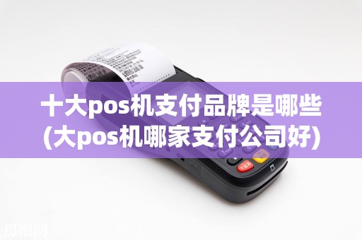 十大pos机支付品牌是哪些(大pos机哪家支付公司好)
