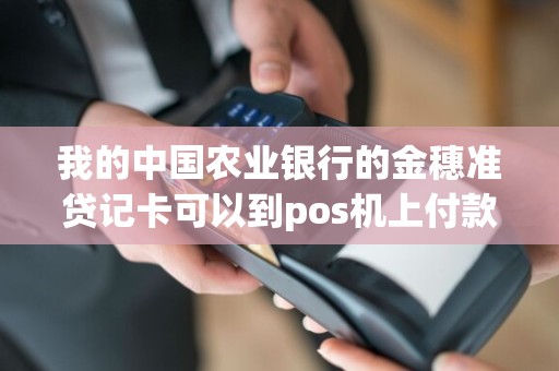 我的中国农业银行的金穗准贷记卡可以到pos机上付款买东西吗