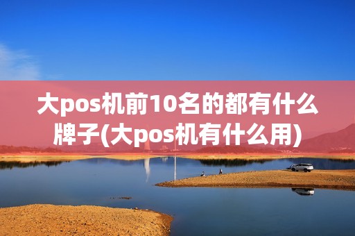 大pos机前10名的都有什么牌子(大pos机有什么用)