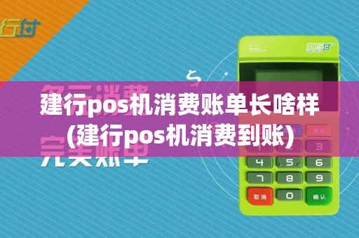 建行pos机消费账单长啥样(建行pos机消费到账)