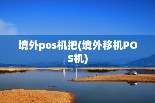 境外pos机把(境外移机POS机)