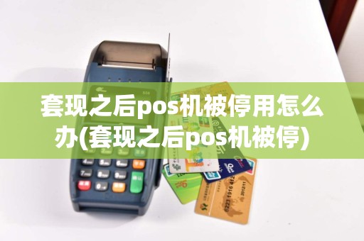 套现之后pos机被停用怎么办(套现之后pos机被停)