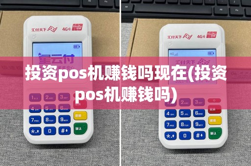 投资pos机赚钱吗现在(投资pos机赚钱吗)