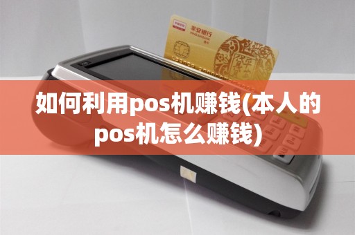 如何利用pos机赚钱(本人的pos机怎么赚钱)