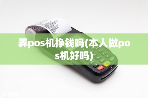 弄pos机挣钱吗(本人做pos机好吗)