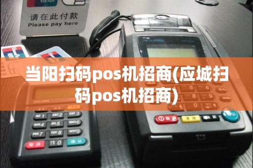 当阳扫码pos机招商(应城扫码pos机招商)