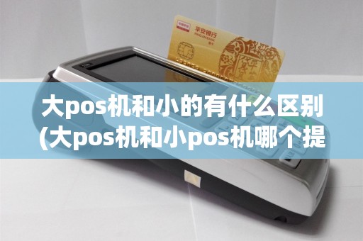大pos机和小的有什么区别(大pos机和小pos机哪个提额快)