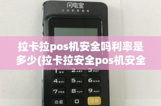 拉卡拉pos机安全吗利率是多少(拉卡拉安全pos机安全吗)